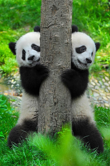 李雪琴带男友与朋友聚餐
